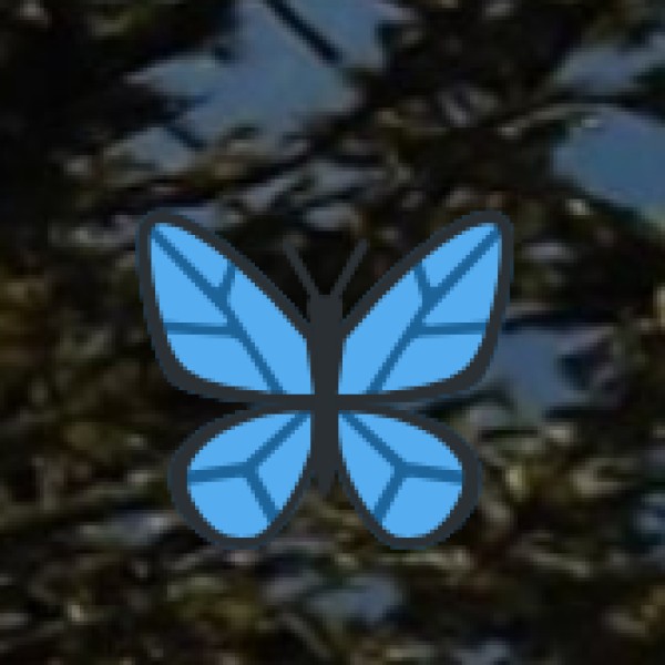 Bareilly Fort (Rohilla Fort) – A Glimpse into History