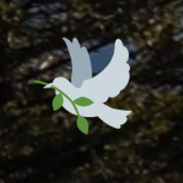 Taj Mahal – The Icon of Love