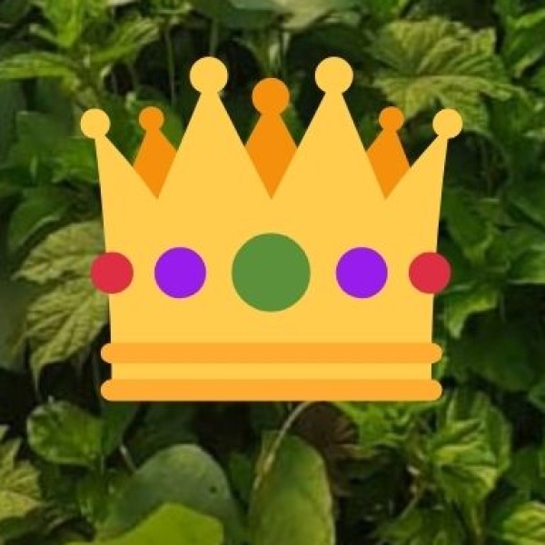 Agra Fort – The Grand Mughal Palace