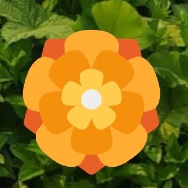 Gandhi Park  – The Heart of Guntur City