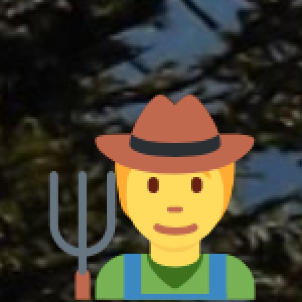 Rallabandi Subbarao Museum (Historical & Cultural Museum)