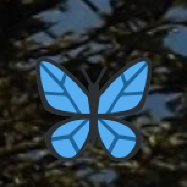 Dadri Wetlands – A Hidden Gem for Nature Lovers