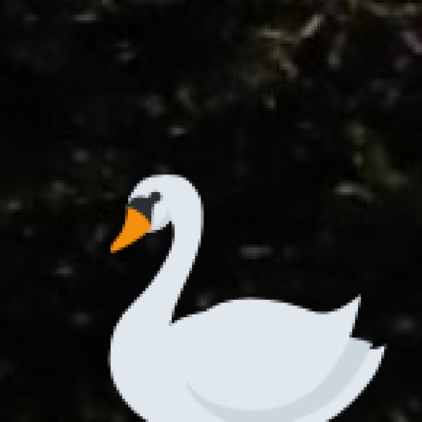 Okhla Bird Sanctuary – A Paradise for Nature Lovers