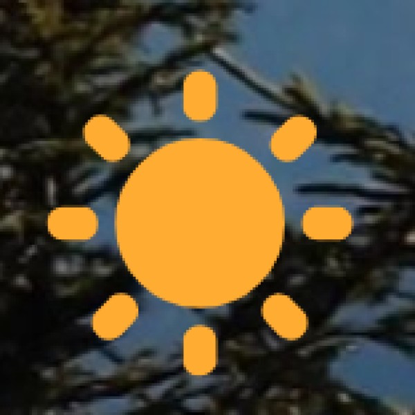 Try Banarasi Street Food