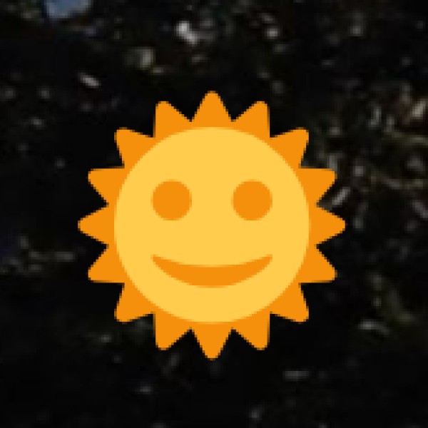 Key Ayurvedic Therapies & Wellness Treatments