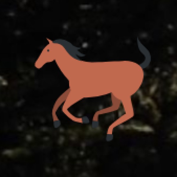 Ayodhya (Emerging Destination)