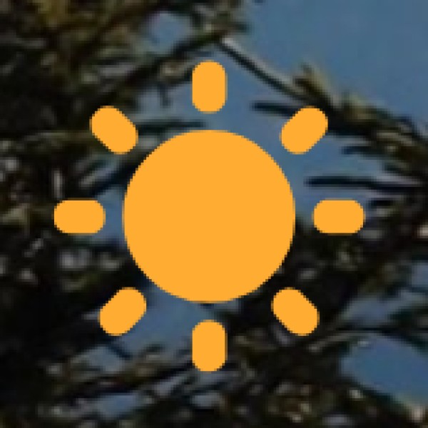 • Diverse Offerings: