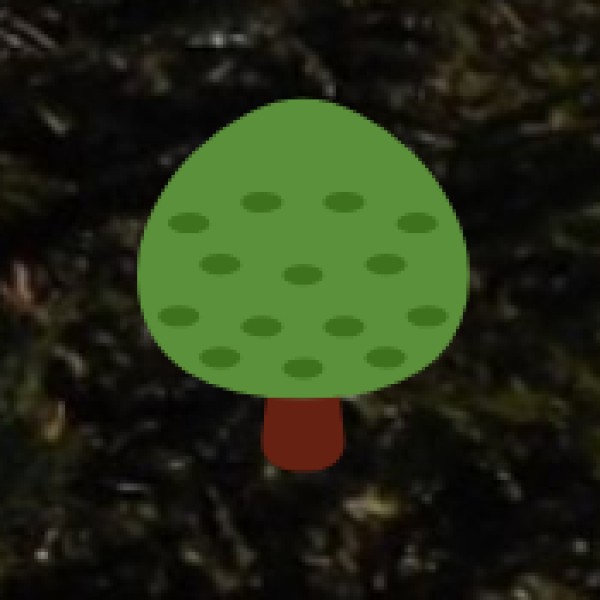 Growing interest in Ayurveda