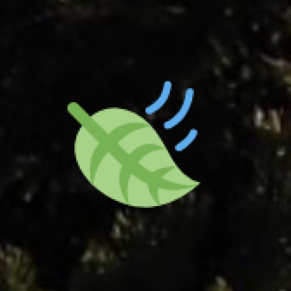 Ayurveda & Wellness Tourism in Tamil Nadu