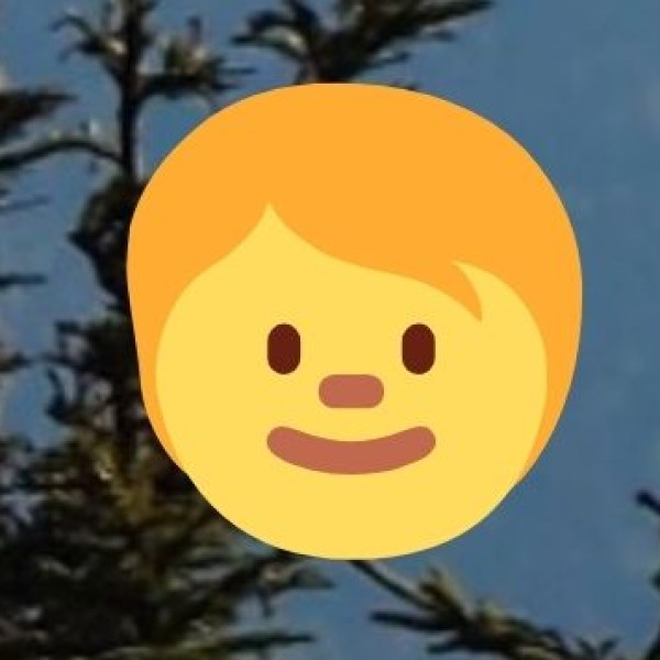 • Spa and Wellness Centers in Resorts: