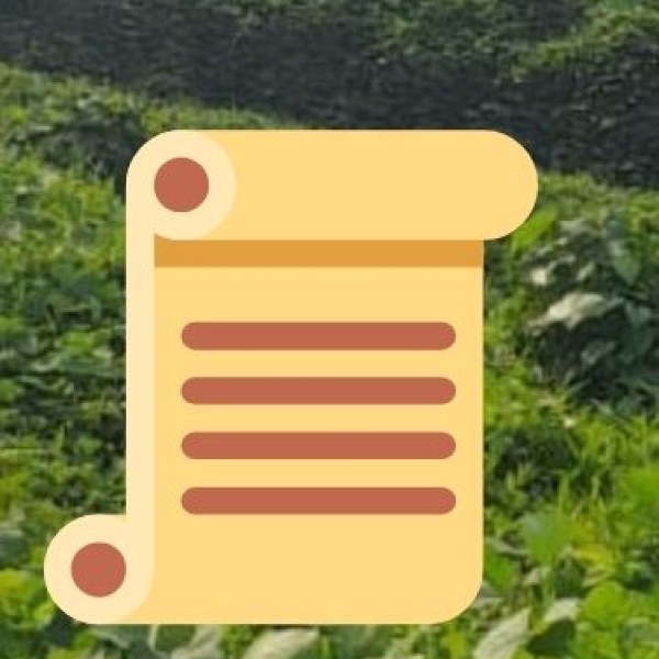 Wellness Tourism Footfall & Global Reach