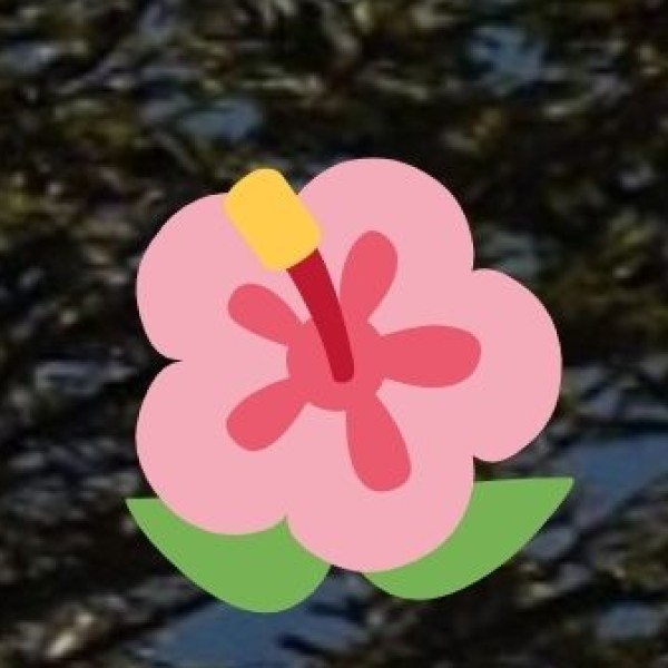 Authentic Ayurvedic Treatments