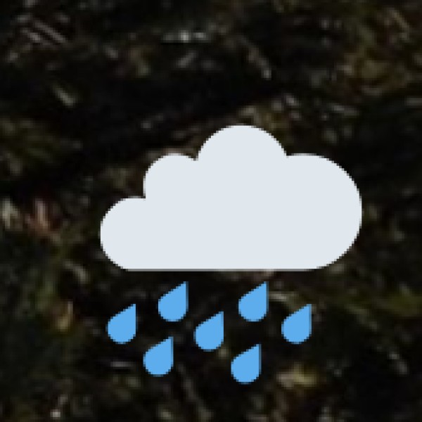 Best Time to Visit for Wellness Tourism