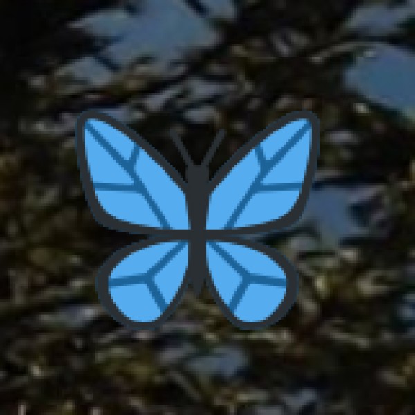 Traditional Healing Systems in Sikkim