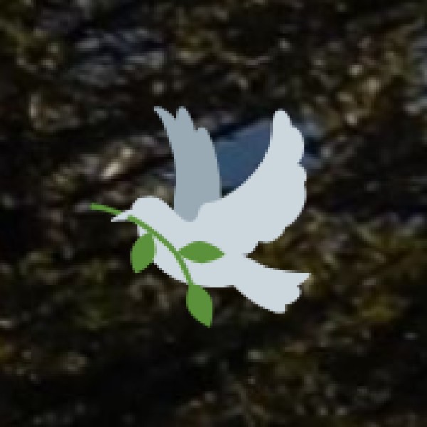 • Emerging Wellness Resorts: