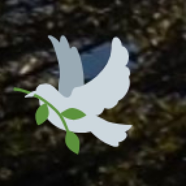 Ayurveda & Wellness Tourism in India