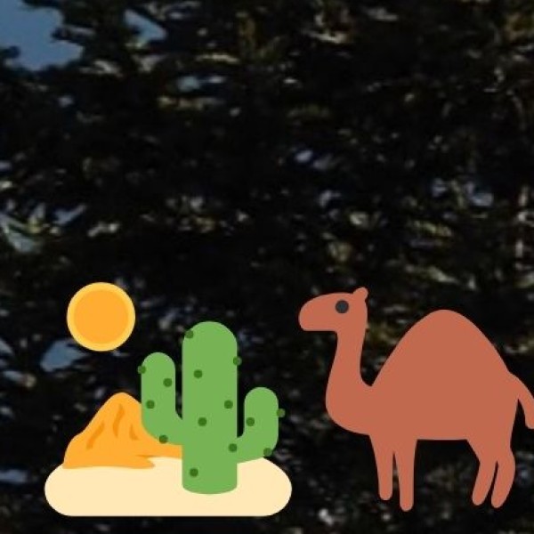 International Tourist Attraction