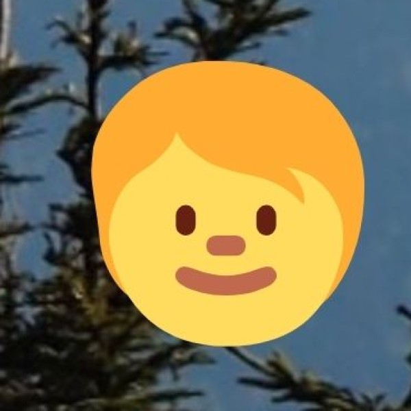 Herbal Steam Bath & Diet Therapy