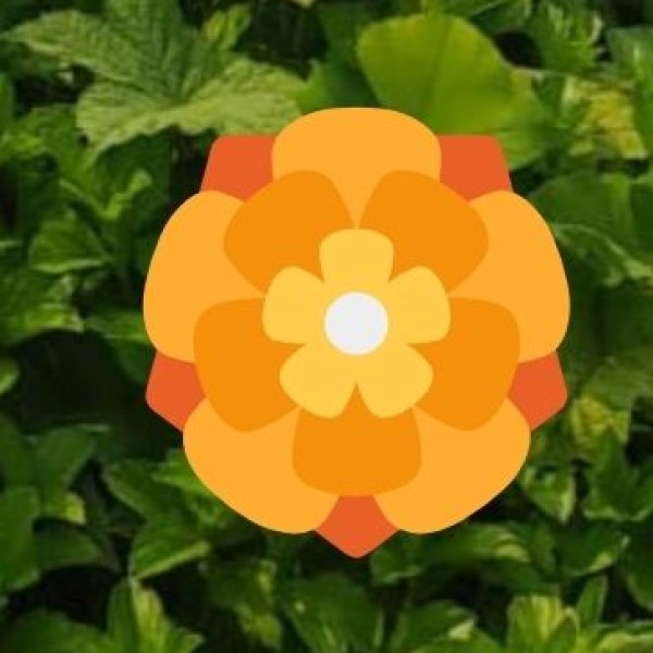 Famous Ayurvedic & Wellness Retreats