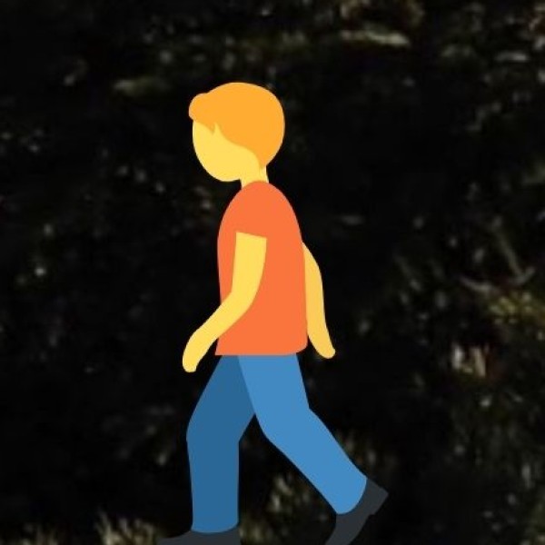 Ayurveda & Wellness Tourism in Chhattisgarh