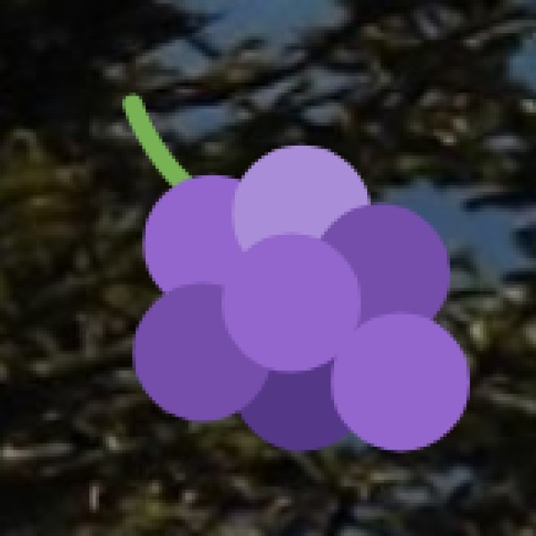 Types of Wellness Tourists