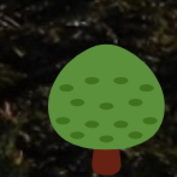 Ayurveda & Medicinal Plant Tourism