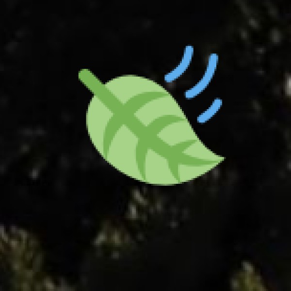 Market Size & Tourism Trends