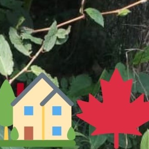 GOVERNMENT INITIATIVES