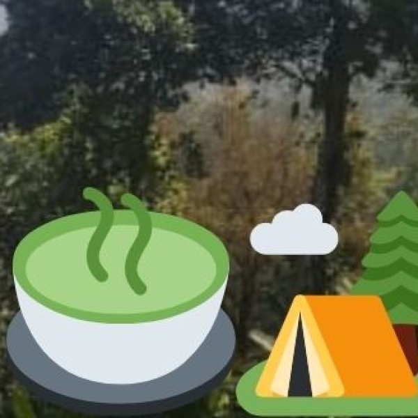 Who Should Visit Gujarat for Wellness Tourism?