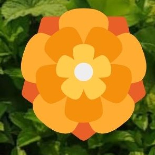 Naturopathy & Diet Therapy