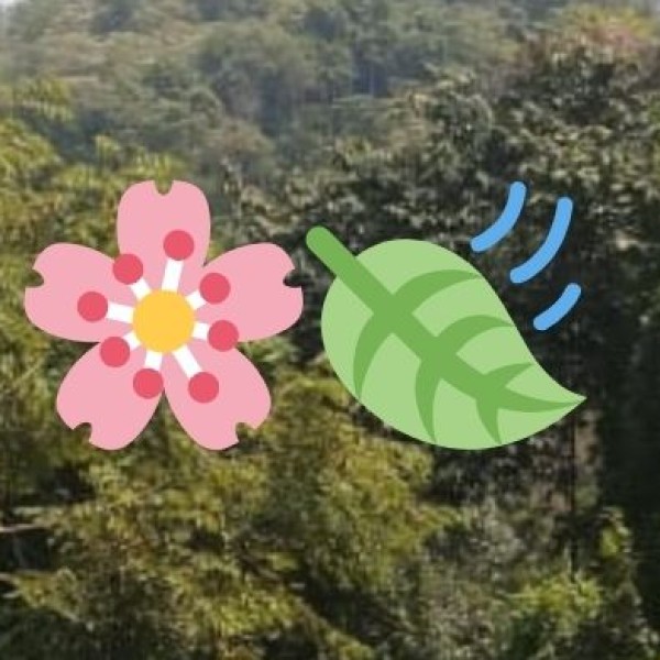 Ayurveda & Wellness Tourism in Arunachal Pradesh