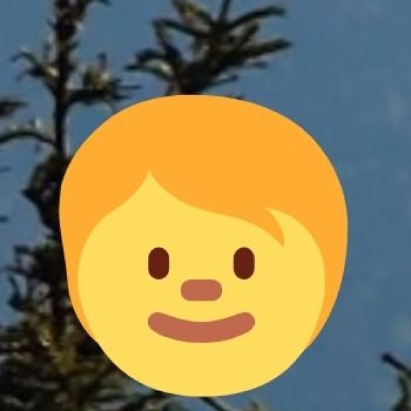 International Wellness Tourists