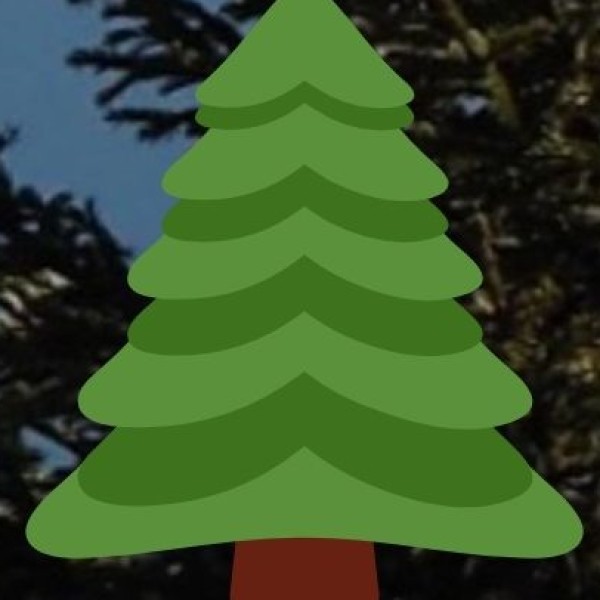 o Medicinal Plant Promotion: