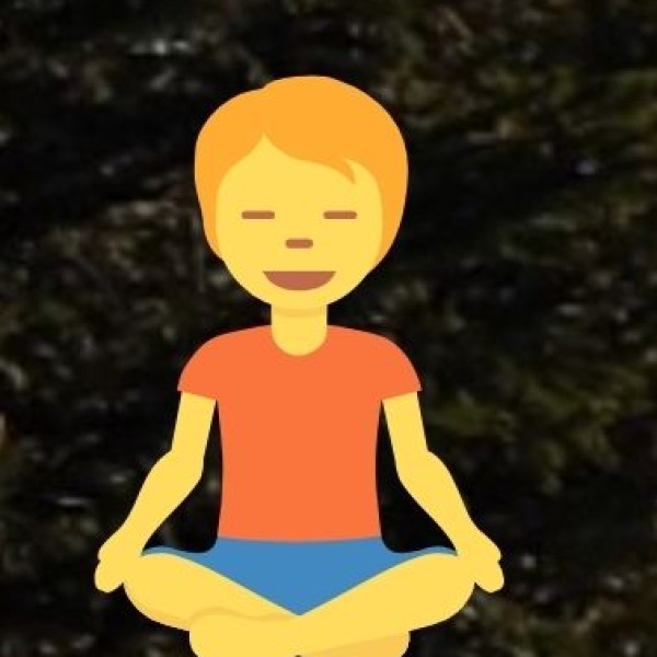 Ayurveda & Wellness Tourism