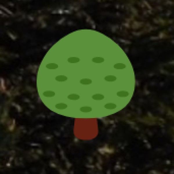 Activities for Wellness Tourists