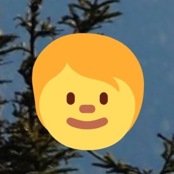 Ayurveda in Daman & Diu: