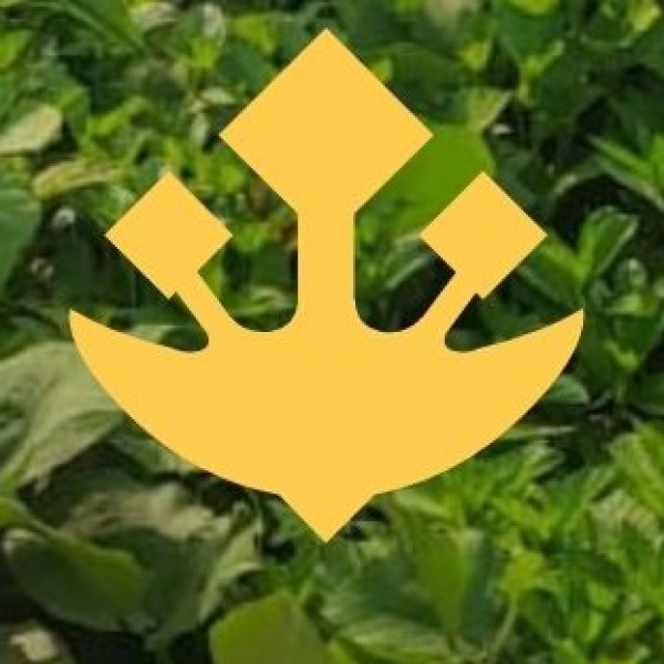 • Government Initiatives (AYUSH Mission):