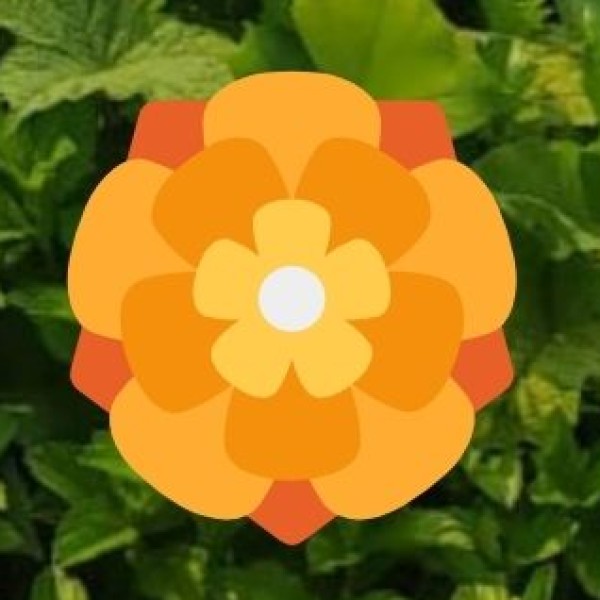 Wellness Tourism Defined