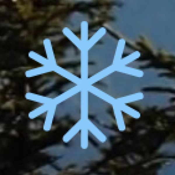 • Mechanical Therapies: