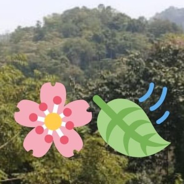 Naturopathy & Herbal Therapy