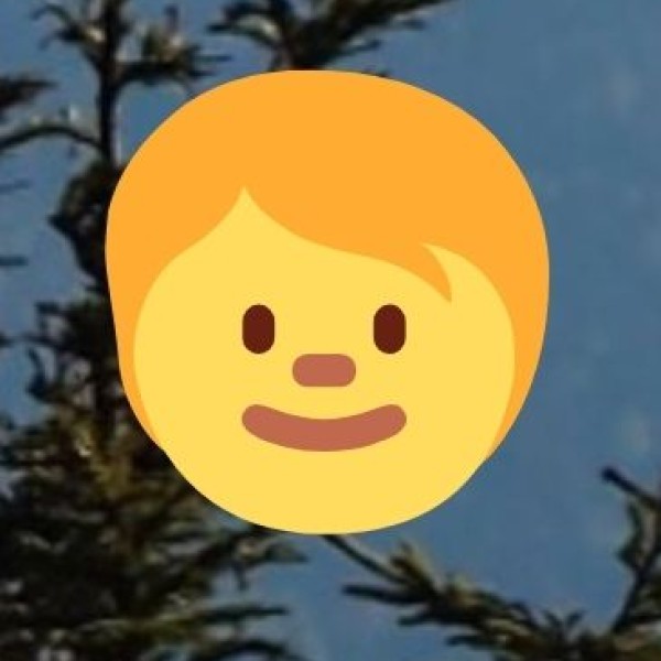 • Accreditation & Licensing: