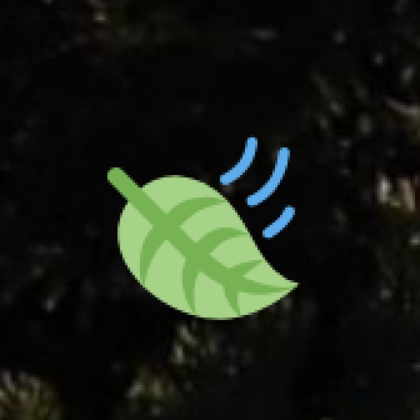 Ayurveda & Wellness in Eco-Retreats and Nature