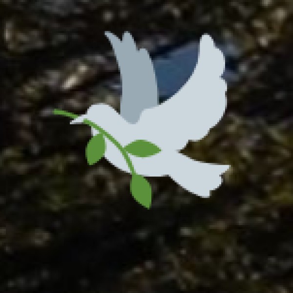 Wellness Tourism Potential in Nagaland