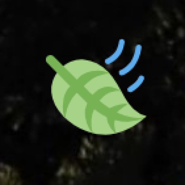 Ayurveda & Wellness Tourism