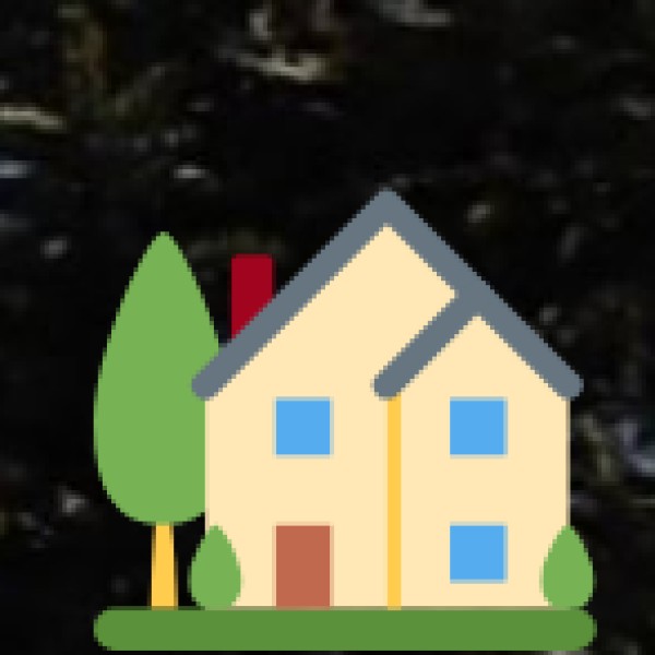 Government Support & Regulation