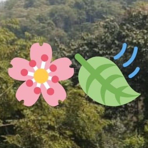 MEDICAL WELLNESS TOURISM TRENDS