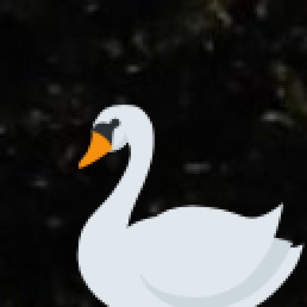 Government Support & Tourism Promotion