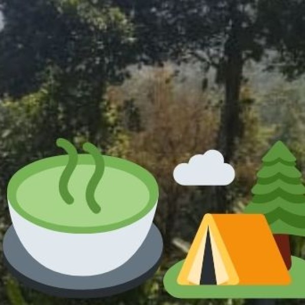 Overview of Ayurveda & Wellness Tourism in Gujarat