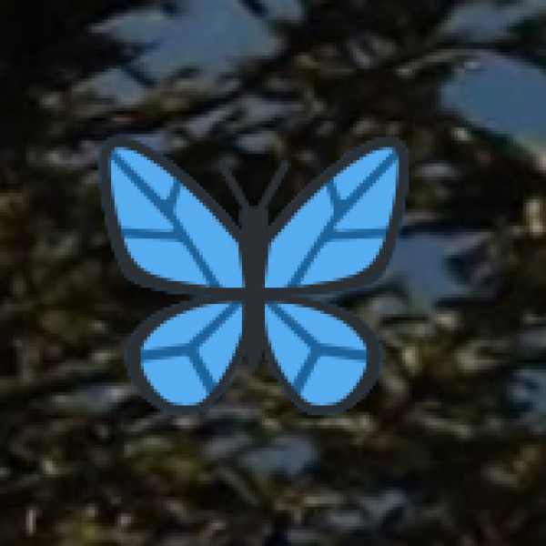 Rural Retreats (Eco healing)