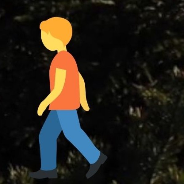 nature-integrated wellness journey